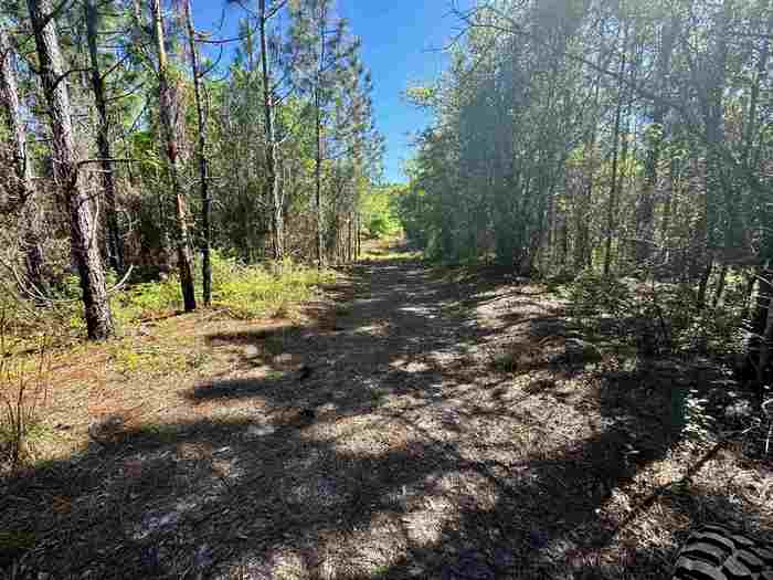 photo 2: 1 SW Federal Road, LAMONT FL 32336