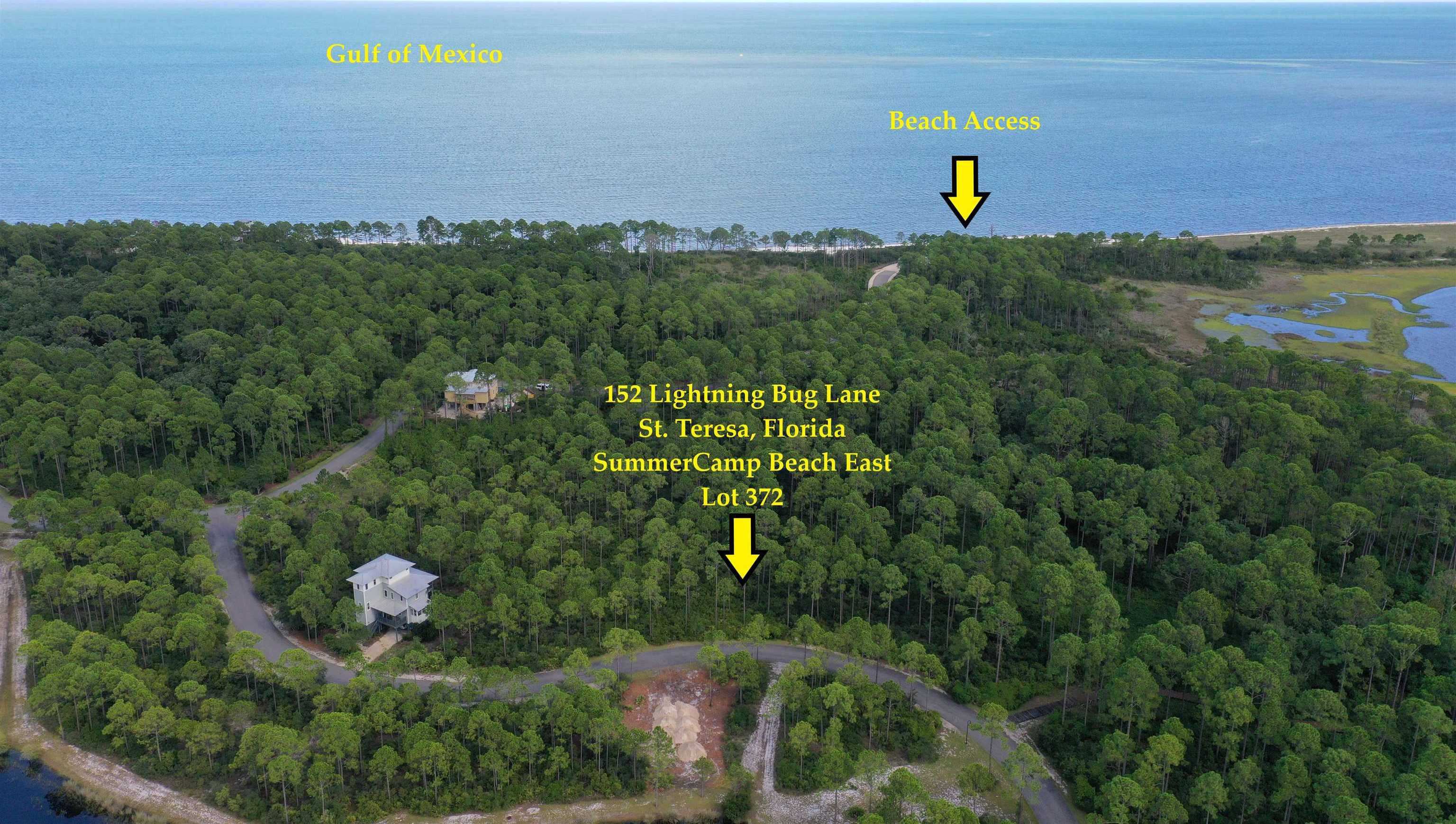 photo 1: 152 Lightning Bug Lane, ST TERESA FL 32358