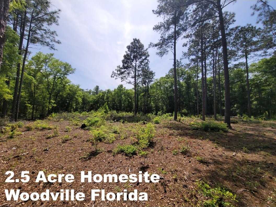 photo 1: Tract E Lutterloh Road, WOODVILLE FL 32305