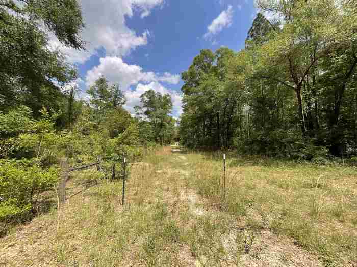 photo 42: Vacant NW Sapphire Trail, JENNINGS FL 32053