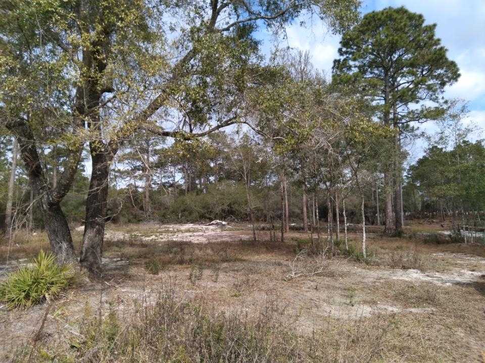 photo 1: xxx Smith Avenue, CARRABELLE FL 32322