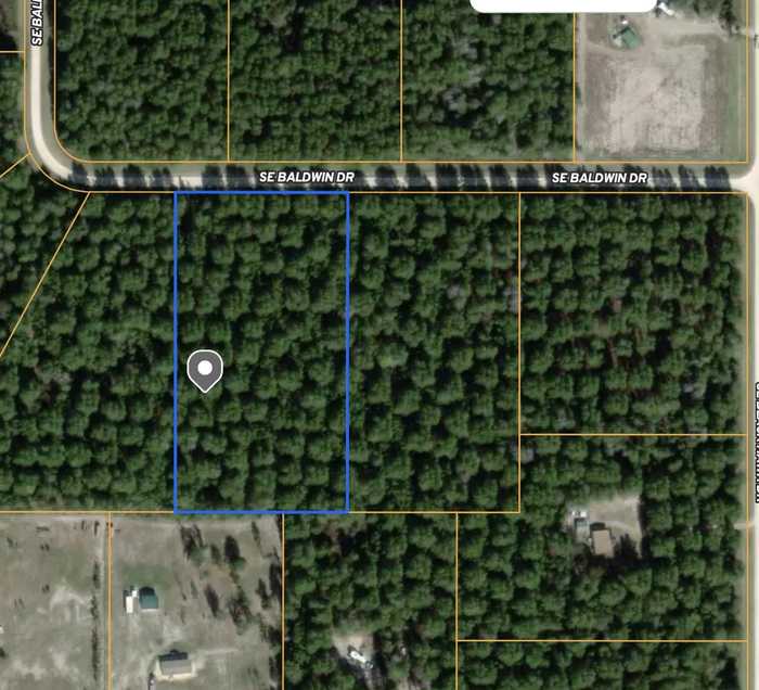 photo 1: Vacant SE Baldwin Drive, LEE FL 32059