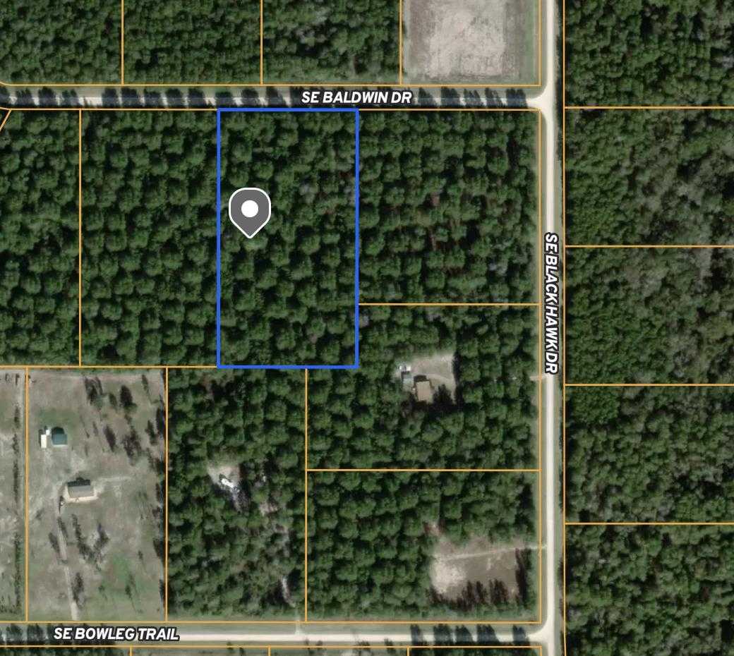 photo 1: Vacant SE Baldwin Drive, LEE FL 32059