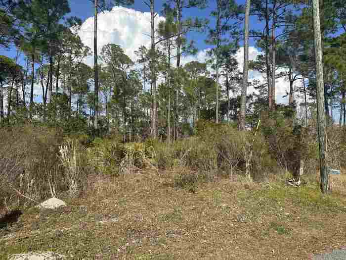 photo 2: xx Surf Road/lot 22, PANACEA FL 32346