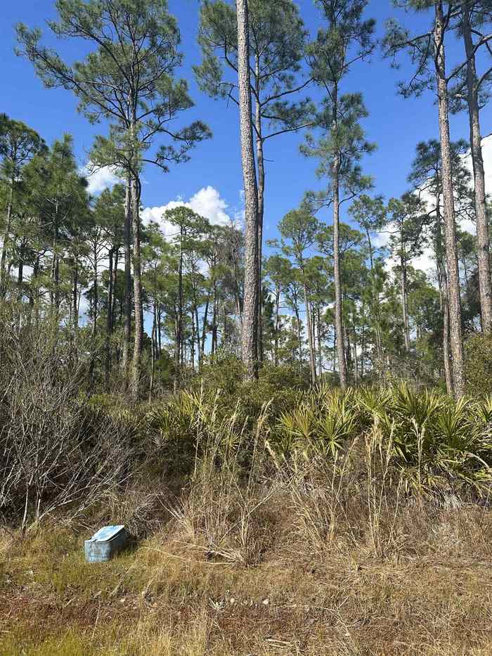 photo 2: xx Surf Road/lot 23, PANACEA FL 32346