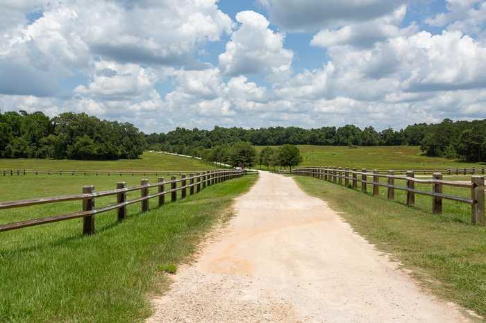 photo 42: 1241 Sandler Ridge Road, TALLAHASSEE FL 32317