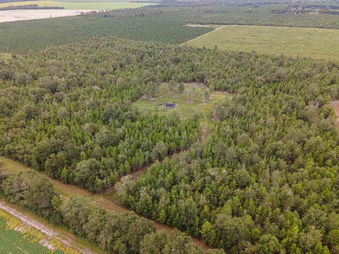 photo 2: 20 AC SE Parliament Trail, LEE FL 32059