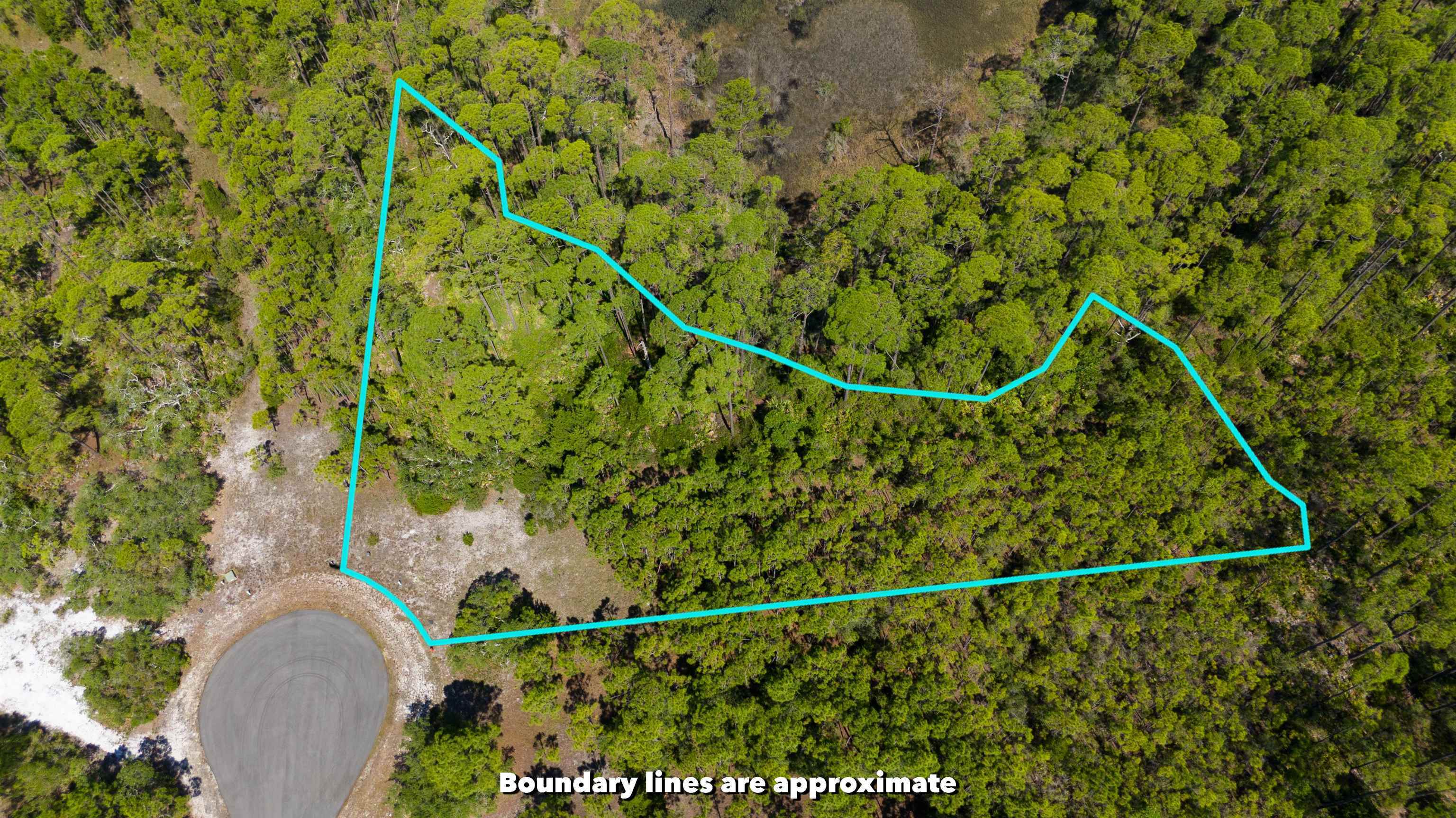 photo 2: LOT 24 Leap Frog Lane, PANACEA FL 32346