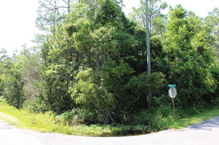 photo 2: Lot 9 Block A Hobbs Way, ST MARKS FL 32355