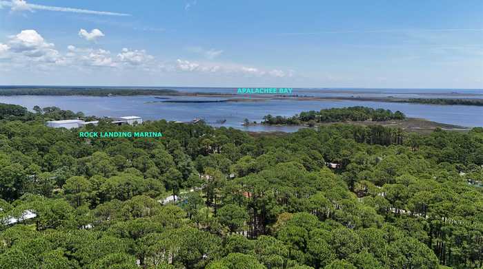 photo 1: 136 Alapaha Avenue, PANACEA FL 32346