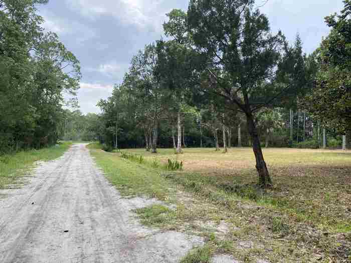 photo 31: 136 Alapaha Avenue, PANACEA FL 32346