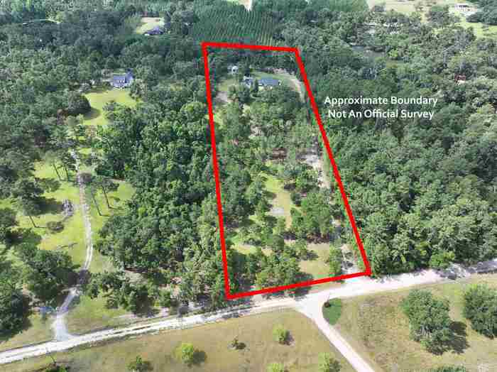 photo 2: 914 NE Pine Ridge Ranch Road, MADISON FL 32340