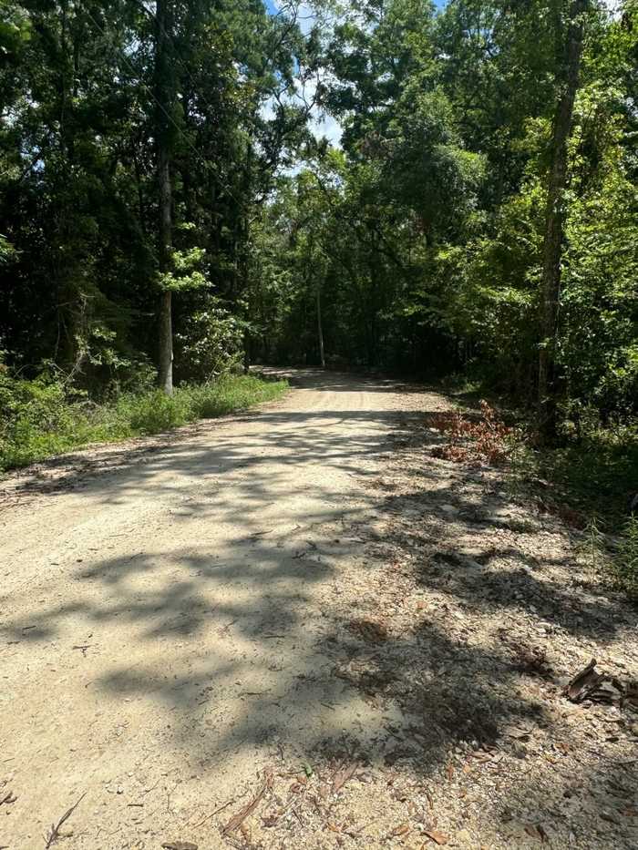 photo 12: Fallow Road, LAMONT FL 32336