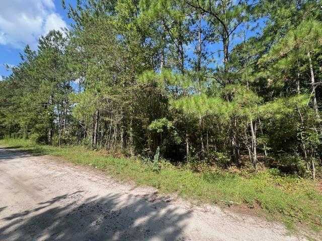 photo 1: 16653 Blountstown Highway, TALLAHASSEE FL 32310