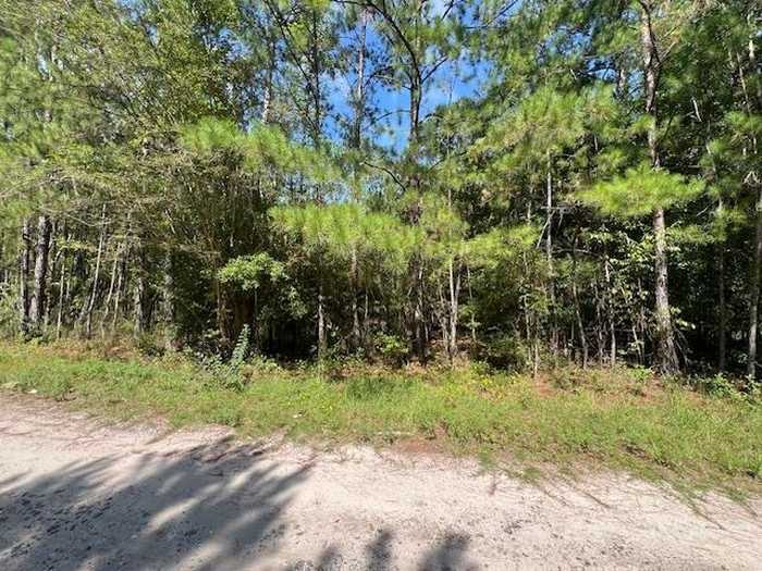 photo 2: 16653 Blountstown Highway, TALLAHASSEE FL 32310