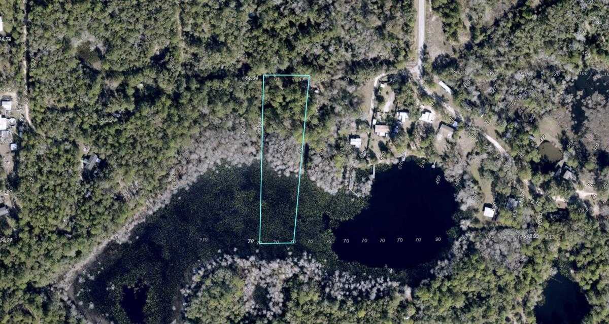 photo 3: Camp Ground Pond Lane, TALLAHASSEE FL 32310