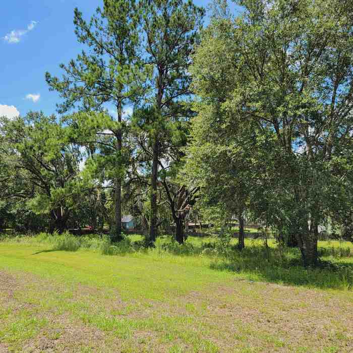 photo 1: NE Oakwood Way, Pinetta (Madison County) FL 32350