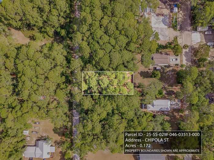 photo 1: xx Chipola Street, PANACEA FL 32346