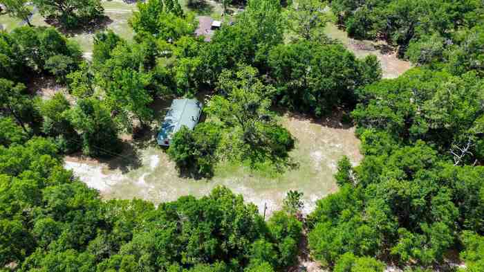 photo 2: 1299 NE Persimmon Drive, Pinetta (Madison County) FL 32350