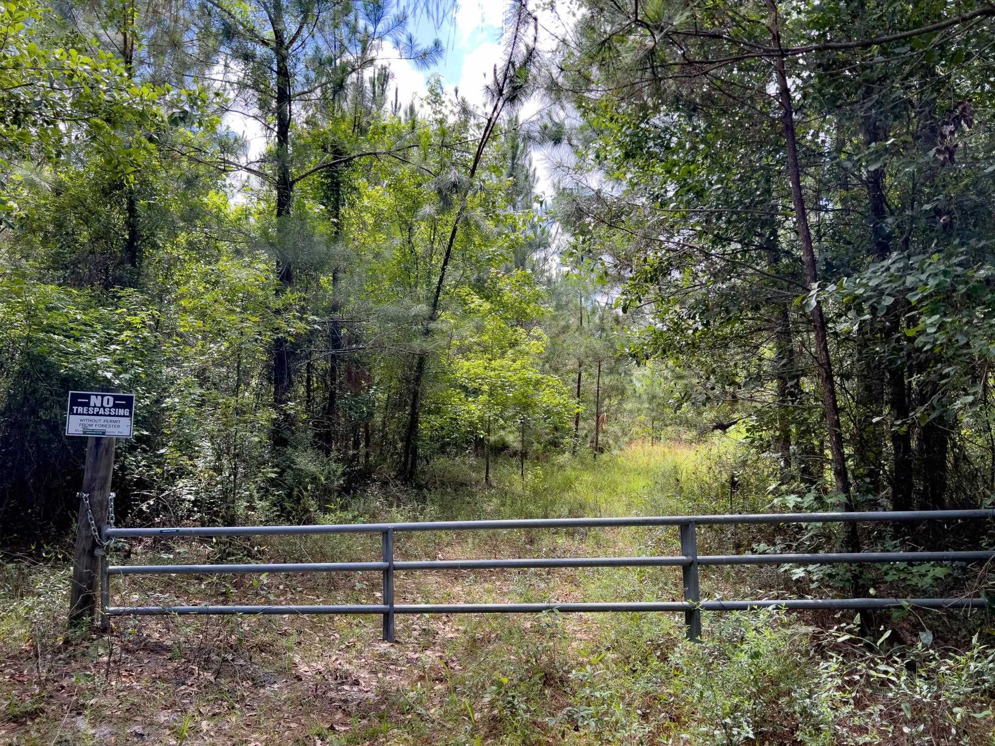 photo 1: 004 Brushy Hammock Road, MAYO FL 32066