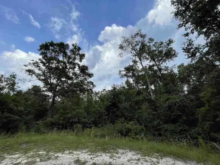 photo 1: Vacant NE Bush Way, MADISON FL 32340