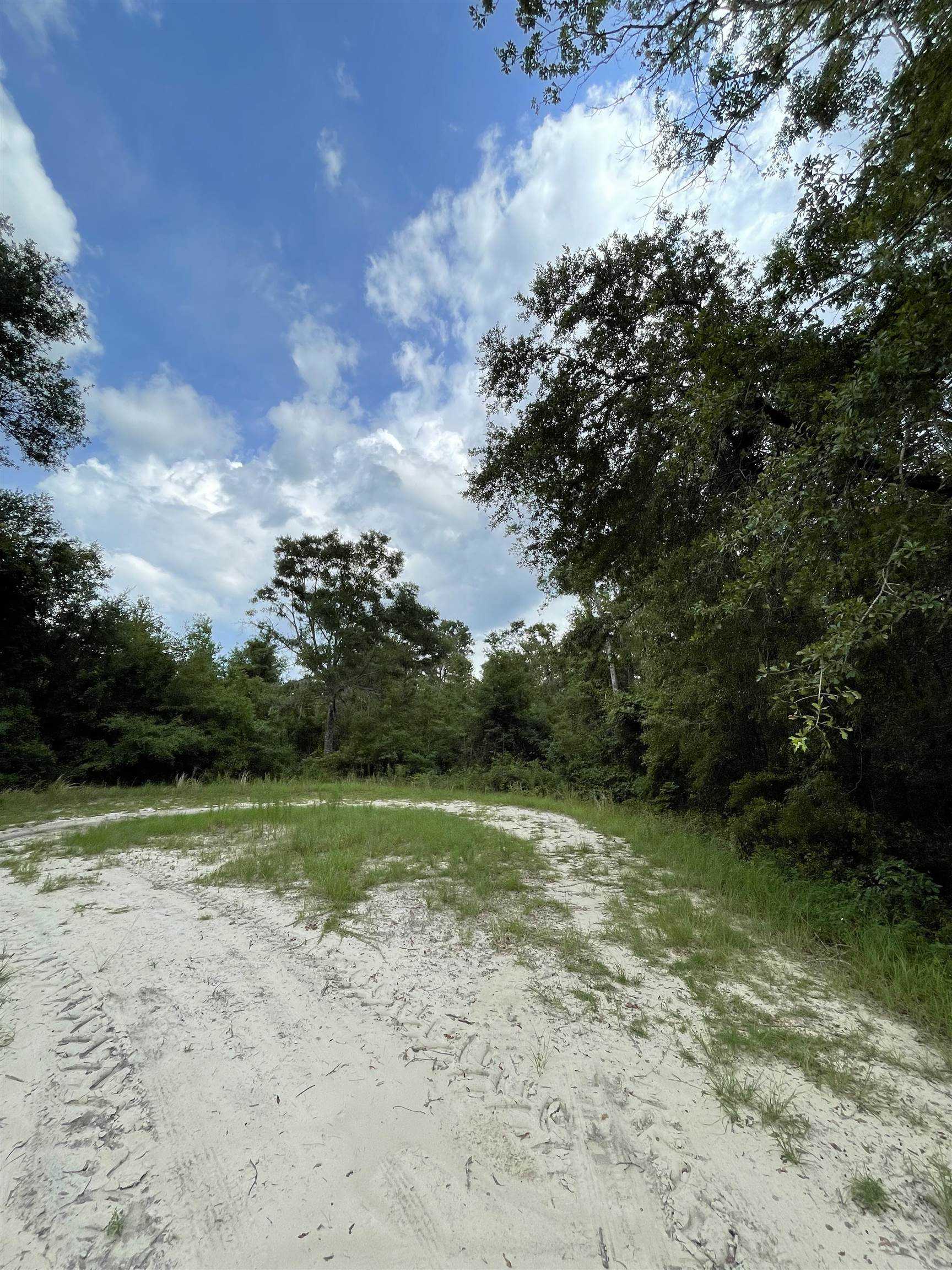 photo 3: Vacant NE Bush Way, MADISON FL 32340