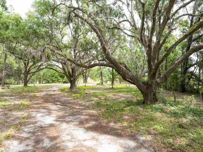 photo 1: Vacant NE Thistle Avenue, Pinetta (Madison County) FL 32350