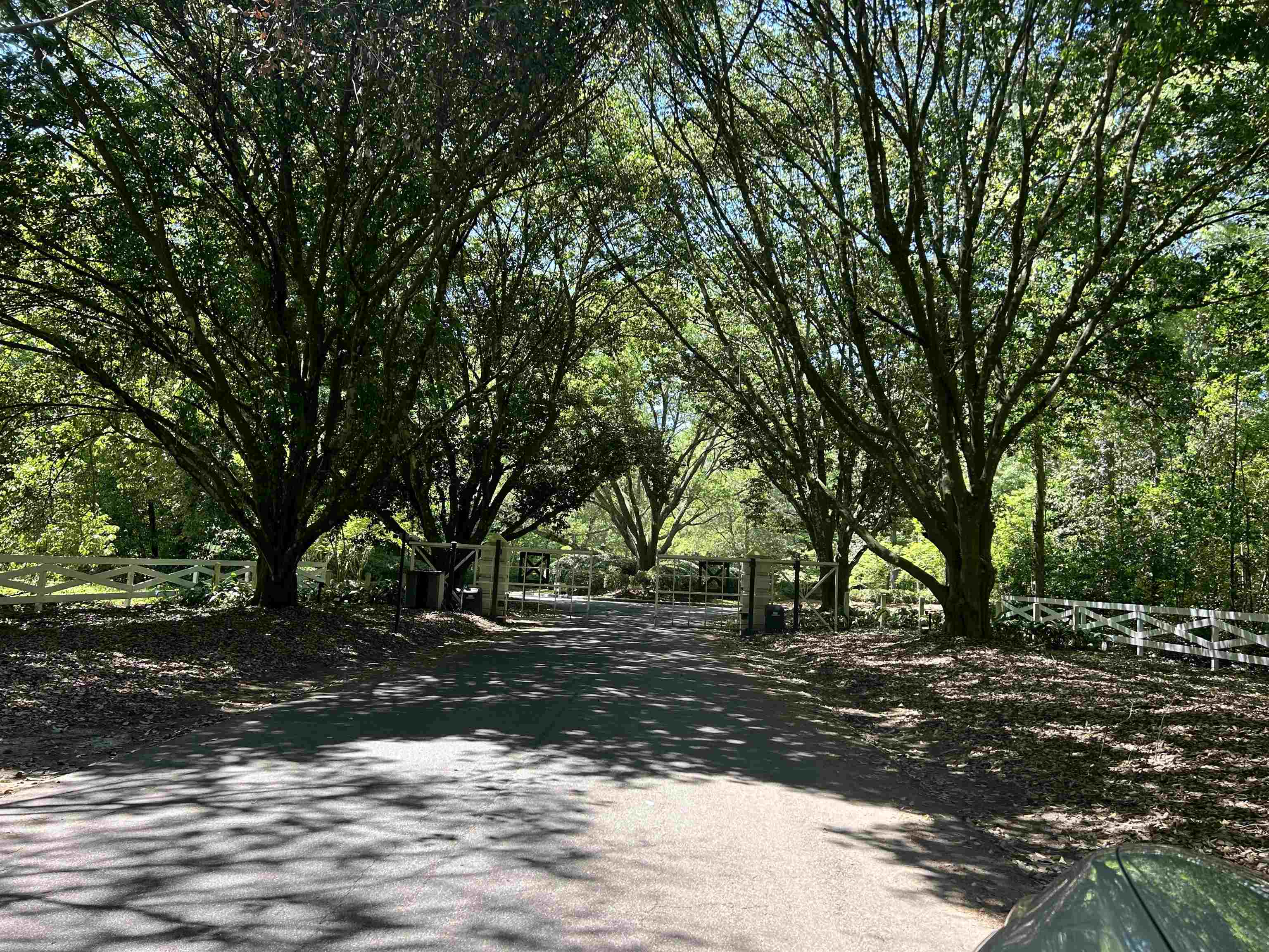 photo 1: Rosehill Drive, TALLAHASSEE FL 32312