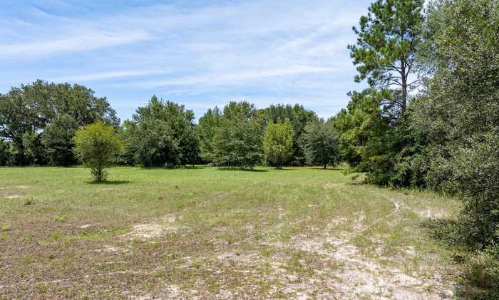 photo 22: Vacant NE Rootman Road, MADISON FL 32340