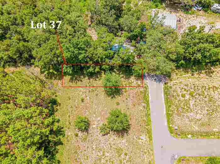 photo 2: Lot 37 River Shores at Jena, STEINHATCHEE FL 32359