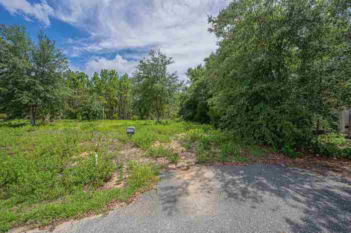 photo 31: Lot 37 River Shores at Jena, STEINHATCHEE FL 32359