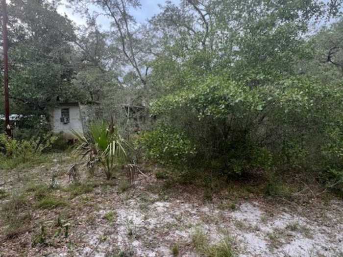 photo 2: 149 Levy Bay Road, PANACEA FL 32346