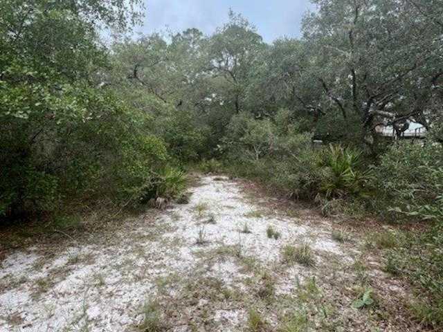 photo 3: 149 Levy Bay Road, PANACEA FL 32346