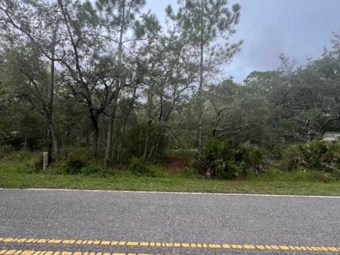 photo 4: 149 Levy Bay Road, PANACEA FL 32346