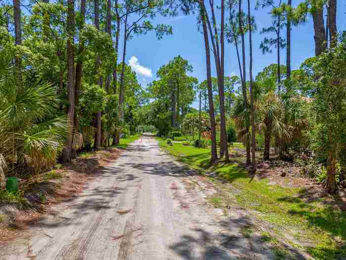 photo 11: Lot 24 Satilla Avenue, PANACEA FL 32346