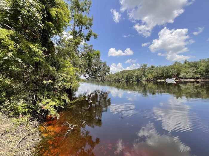 photo 42: Vacant NW Little Deer Trail, MAYO FL 32066