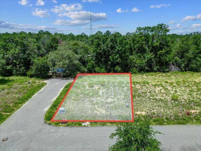 photo 2: Lot 38 SW 879th Street, STEINHATCHEE FL 32359