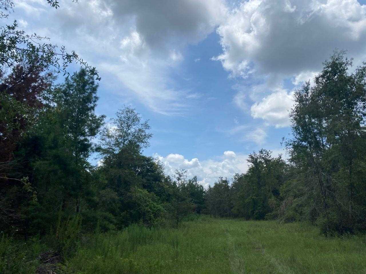 photo 1: Vacant SE Parliament Trail, LEE FL 32059