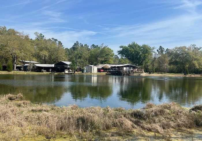 photo 1: 21898 NE Forest Road 103, HOSFORD FL 32334