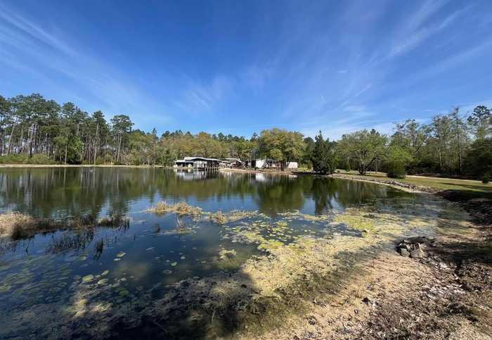 photo 2: 21898 NE Forest Road 103, HOSFORD FL 32334