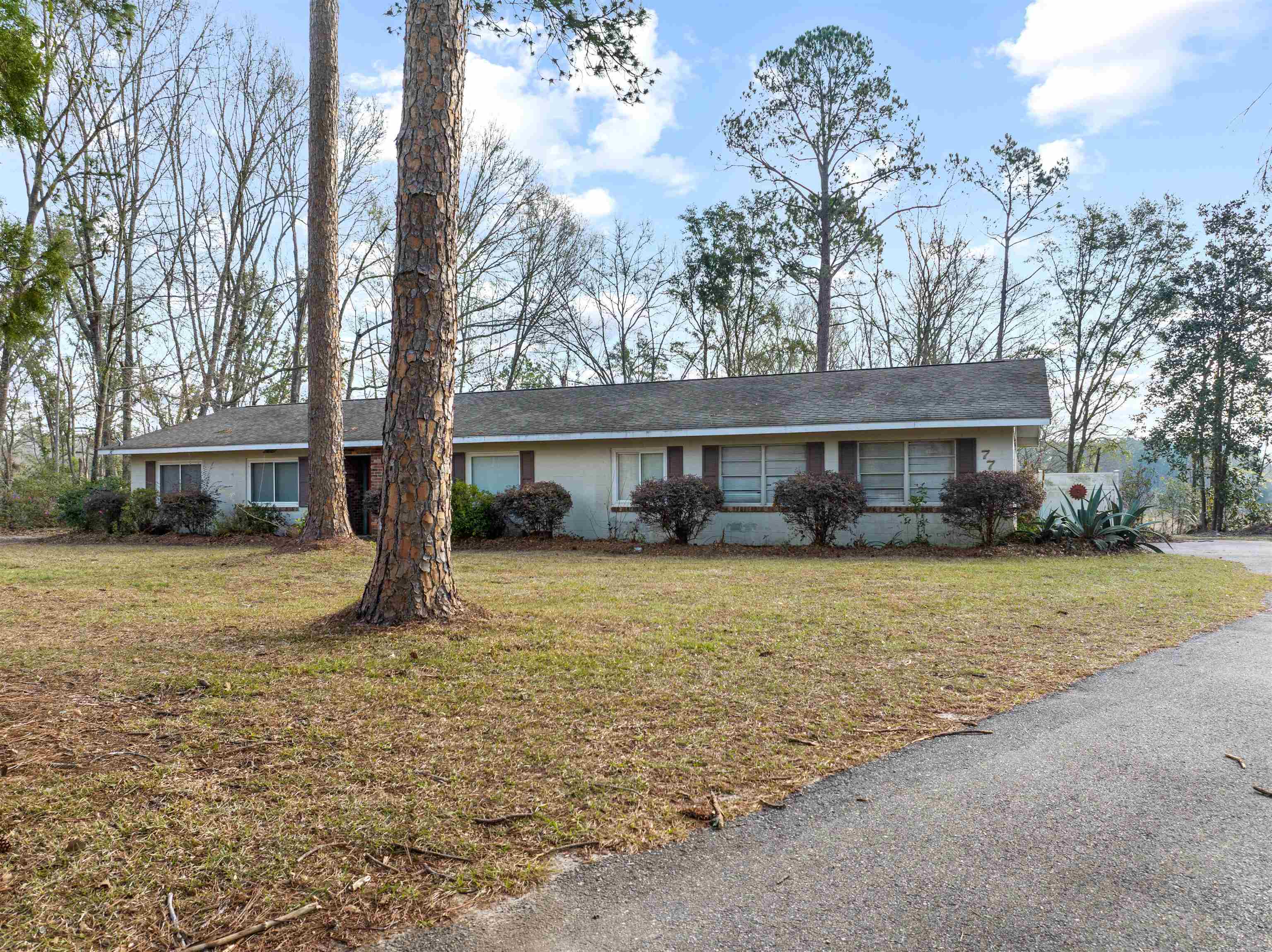 photo 2: 7706 NE Dusty Miller Avenue, Pinetta (Madison County) FL 32350