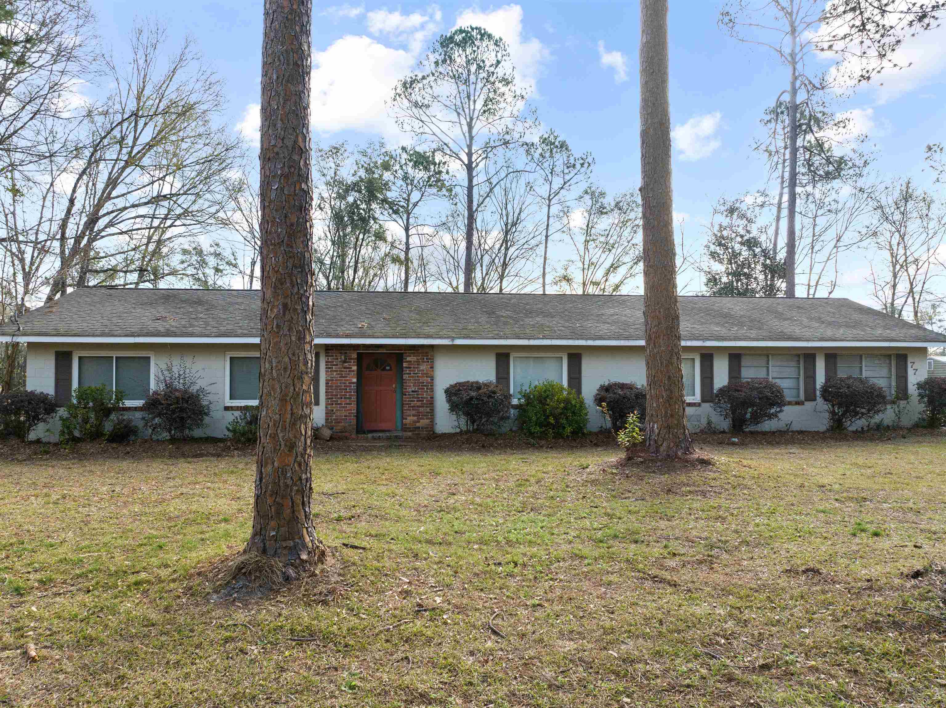 photo 3: 7706 NE Dusty Miller Avenue, Pinetta (Madison County) FL 32350