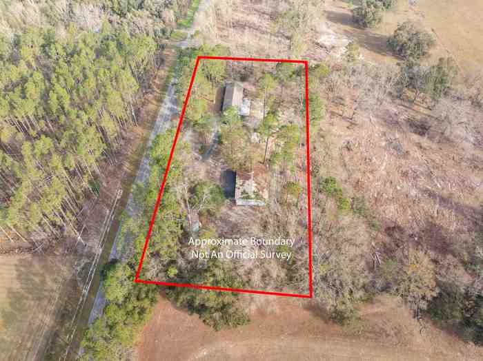 photo 35: 7706 NE Dusty Miller Avenue, Pinetta (Madison County) FL 32350