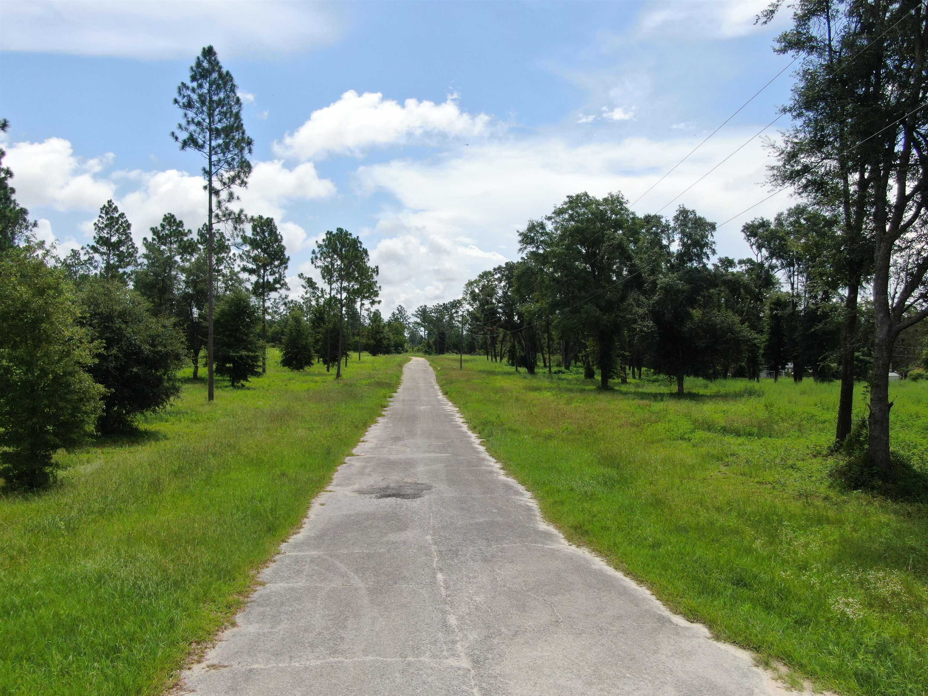 photo 3: NW Pickle Lane, MADISON FL 32340