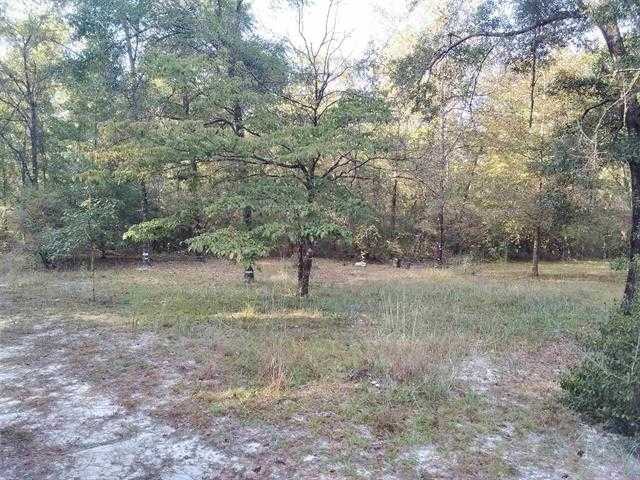 photo 1: 784 Shadeville Road, CRAWFORDVILLE FL 32327