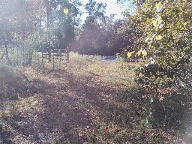 photo 2: 784 Shadeville Road, CRAWFORDVILLE FL 32327