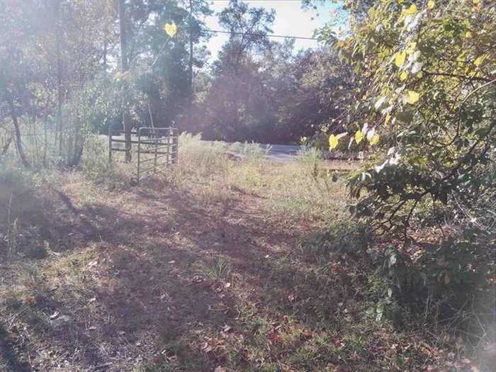 photo 2: 784 Shadeville Road, CRAWFORDVILLE FL 32327