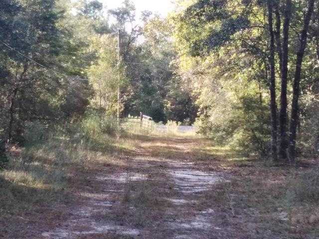 photo 3: 784 Shadeville Road, CRAWFORDVILLE FL 32327