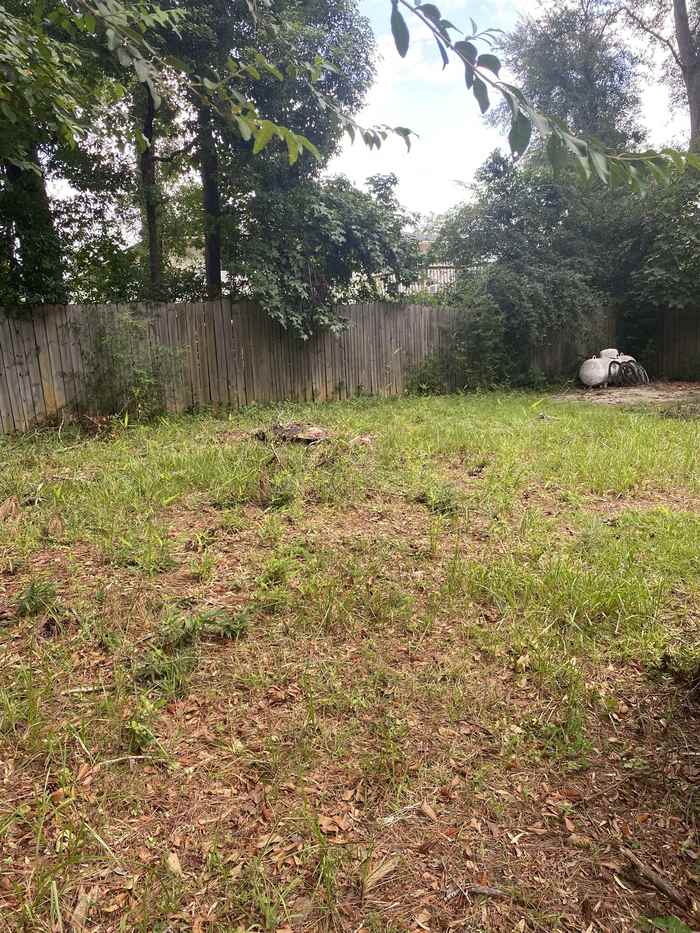 photo 2: 616 Hampton Avenue, TALLAHASSEE FL 32310