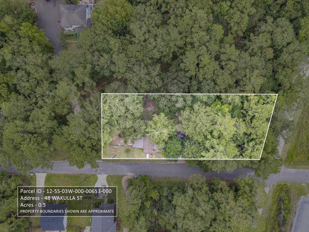 photo 3: 48 Wakulla Street, SOPCHOPPY FL 32358